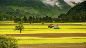 Pentingnya Doa Keselamatan Untuk Mayit